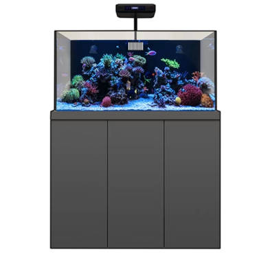 200 gallon fish outlet tank for sale